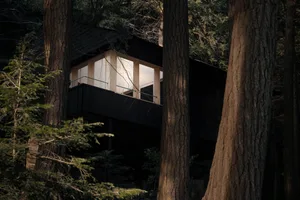 A modern treehouse with wooden exterior and glass windows nestled in a forest.