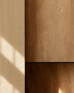 A minimalist interior featuring wooden paneling.