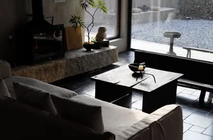 Modern living room with concrete fireplace, wood coffee table, and minimalist decor.