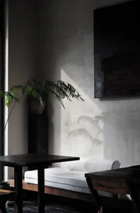 A minimalist living room featuring concrete furniture and flooring, with a large window and a plant casting shadows on the wa