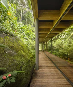A wooden walkway surrounded by lush green vegetation and rocks in a forest setting.