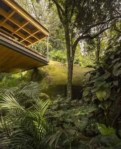 An image showcasing the modern design of a building constructed with natural wood, surrounded by lush green foliage.