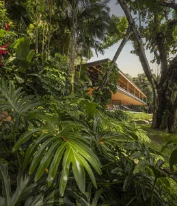 Modern, two-story house nestled among lush tropical foliage and palm trees.