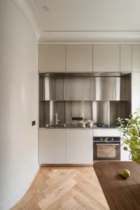 Modern minimalist kitchen with metal and laminate finishes