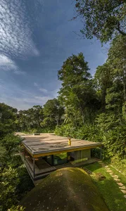 A modern minimalist residential house with glass and wooden elements surrounded by lush greenery and a clear blue sky.