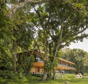 A modern residential exterior nestled in a tropical forest with large trees.