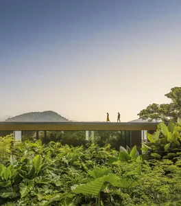 Two people walking along a modern glass roof with lush greenery surrounding it.