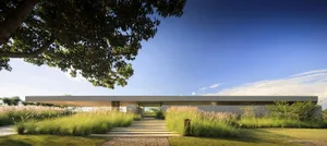 A modern house with a concrete facade and a garden featuring lush greenery and tall grasses.