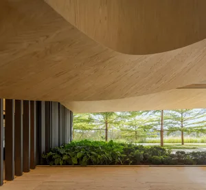 Modern interior with organic wooden elements and greenery