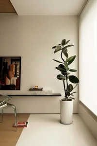 Minimalist-designed white rectangular planter with a tall green plant on a wooden floor in a modern interior space.