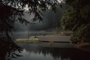 Minimalist landscape featuring natural elements such as water, trees, and grass.