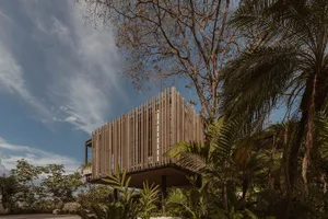 A modern wooden residential home surrounded by tropical vegetation.