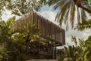 Modern building with wooden exterior surrounded by tropical foliage.