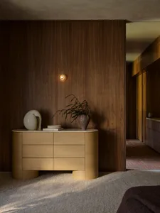 A modern living room featuring wooden furniture and a plant.