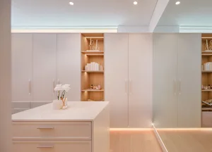 Modern minimalist cabinetry with white porcelain and laminate flooring.