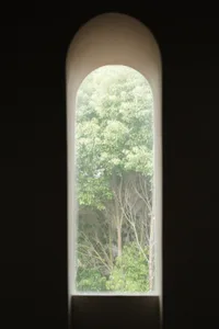 透過拱形窗戶欣賞寧靜的茂密綠意與樹木景觀。