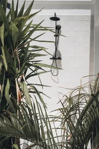A minimalist bathroom with white tiled walls and lush green plants.