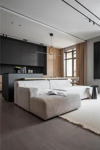 A minimalist living room with a modern sofa and soft furnishings.
