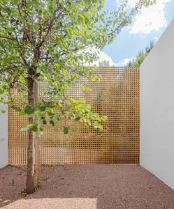 A modern landscape featuring a wooden lattice screen, gravel pathway, and a single tree