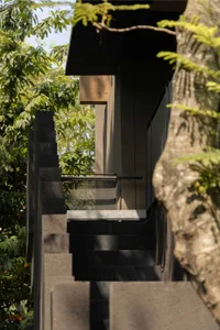 Modern entryway with stone cladding, surrounded by green foliage and a textured tree trunk.