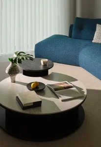 A modern living room featuring sleek, minimalist furniture and a round coffee table with books and lemons.