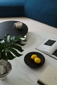 Modern living room featuring marble elements