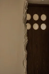 Modern interior door featuring rounded glass windows.