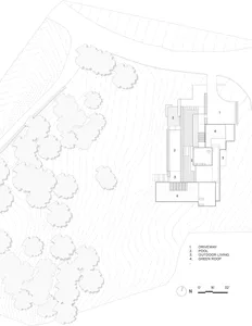 A modern residential floor plan with outdoor living areas, a driveway, a pool, and a green roof.