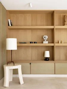 A minimalist bookshelf interior featuring a natural wood finish.