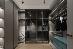 Modern closet with dark materials and glass doors