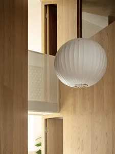 A modern entryway featuring wooden walls, a white spherical light fixture, and a glimpse of a green plant.