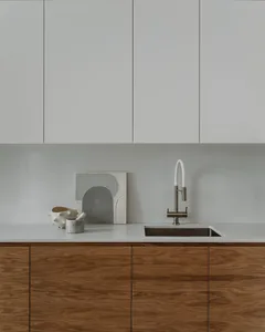 Minimalist kitchen with wood cabinets and a modern sink.
