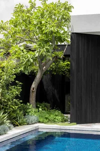 Modern backyard featuring a sleek, black poolside structure with lush greenery and a tree.