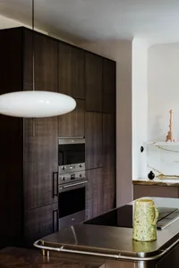 Modern kitchen with dark wood cabinets, stainless steel appliances, and a white pendant light.
