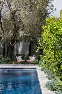 Modern poolside area with two chairs, plants, and a swimming pool.