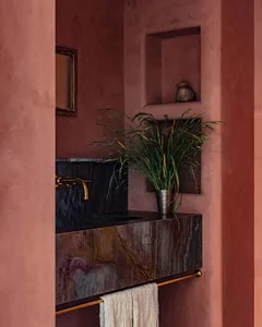 A modern bathroom featuring a marble sink with brass fixtures, a towel holder, a potted plant, and a shelf on a textured pink