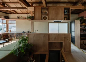 A modern residential kitchen interior with wooden cabinets, plants, and natural light.