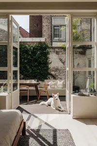 A minimalist interior with a white dog lying on a wooden floor, surrounded by natural light and greenery.