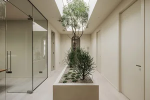 A minimalist hallway features a low, rectangular planter with small trees and rocks, framed by white walls and a glass door.