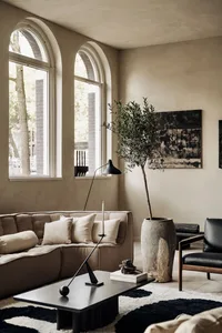 Modern living room featuring a sofa with textured fabric upholstery, a minimalist coffee table, and an olive tree in a rustic