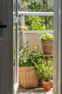 Several plants in woven baskets and clay pots on a balcony, including an orange flower.