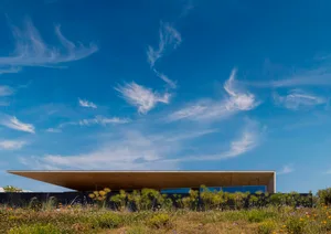 A modern house with a concrete facade and a flat roof.