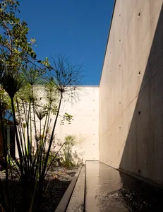 A modern garden featuring concrete walls, with natural plants and a small water feature.
