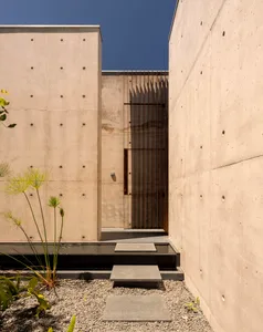 A modern minimalist entryway with concrete walls and a glass door, featuring a small garden with plants in gravel.