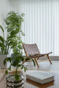 A minimalist living room featuring a wooden chair, potted plants, and a coffee table with a book.
