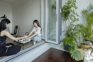 Two women sitting on a wooden floor, engaged in a tea ceremony surrounded by green indoor plants.