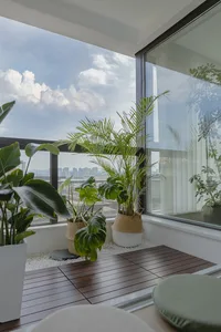 Modern living room with various potted plants in different baskets and materials.