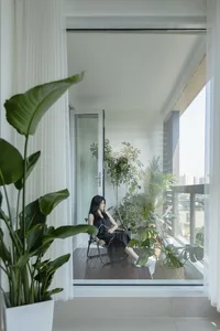A modern living space featuring a variety of indoor plants.
