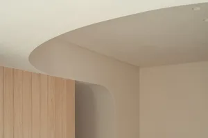 A modern interior design featuring a curved concrete ceiling and wooden paneling.
