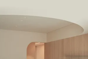 A minimalist interior design featuring wooden panels with a curved ceiling and archway.